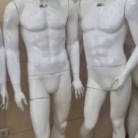 مانکن مردانه سالم