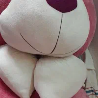 خرس بزرگ خارجی