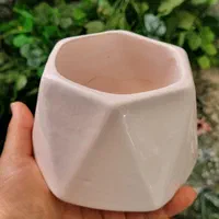 گلدان‌های کاکتوسی سرامیکی سفالی