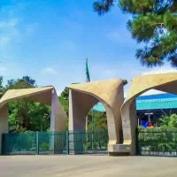 مدرک دیپلم /کاردانی/کارشناسی، کارشناسی ارشدودکتری