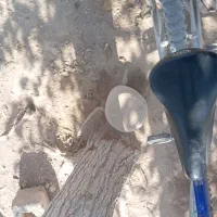 دوچرخه کمک26&