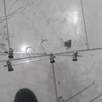 چوب لباسی|بندرخت و رخت‌آویز|مشهد, توس|دیوار