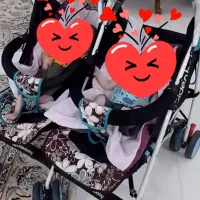 کالسکه دوقلو خارجی. کنار هم