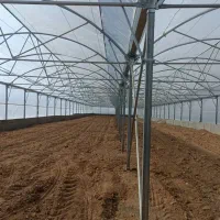 فروش یک واحد گلخانه نیمه صنعتی