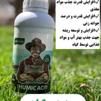 افزایش جوانه‌زنی و تناژ گندم|خدمات باغبانی و درختکاری|دهگلان, |دیوار