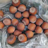 فروش ۲۰۰۰ متری|فروش دفتر صنعتی، کشاورزی، تجاری|نقده, |دیوار