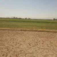 زمین کشاورزی سرداری بر جاده (صحرای لورکی)|فروش زمین و ملک کلنگی|لنجان, |دیوار