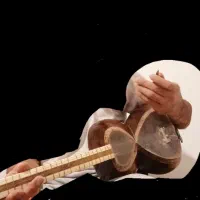 تاردرسطح معمولی فروشی