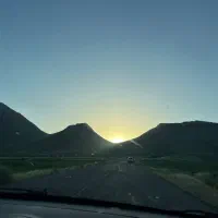 زمین  سند تک برگ
