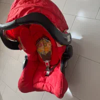 کریر برند گراکو آمریکایی