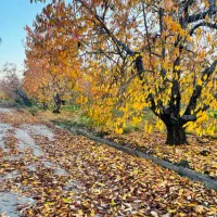 باغ ویلا دماوند جابان|فروش خانه و ویلا|دماوند, دماوند|دیوار