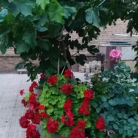 فروش واحد. منظریه. مهندسان