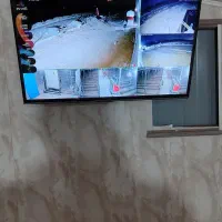 نصاب دوربین و دزدگیر خوش قول