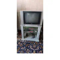 تلویزیون