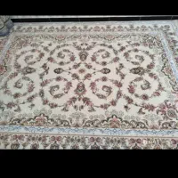 ۲تخته۹متری|فرش|کرمانشاه, |دیوار