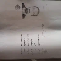 گم شدن مدارک