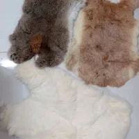 پوست طبیعی