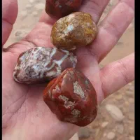 پاک کردن سنگ حبوبات