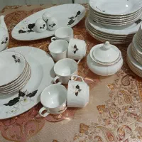 سرویس چینی 6نفره 48پارچه زرین
