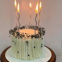 سفارش کیک تولد انواع کیک کافه ای و تر