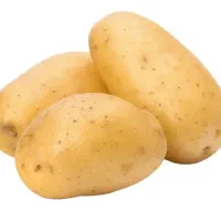 سیب زمینی بذری فروشی