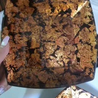 پیش دستی و دیس خارجی رزین