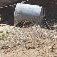 دوعددتانک یکی آبی یکی نفتی بفروش میرسد