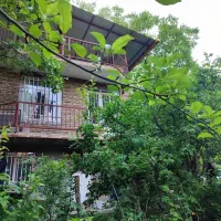 ویلا باغ جنگلی ۱۵۰۰ متری دربست کلیبر