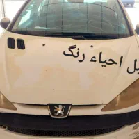 خدمات دیتیلینگ پارسیان