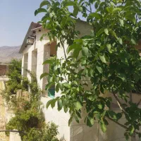 باغچه-شاپور-جان-پیربنو