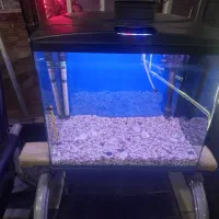 فروش آکواریوم