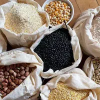 آقا آشنا به قیمت گذاری محصولات کشاورزی و باغی