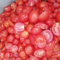 رب خانگی|خوردنی و آشامیدنی|کرج, کیانمهر|دیوار