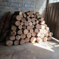 چوب چنار خشک سالم رنگ قرمز|عمده‌فروشی|اصفهان, گورتان|دیوار