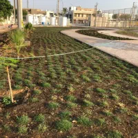 نیرو خاک برداری و فضای سبز