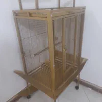 قفس آرایی کاسکو شاه طوطی ماکائو