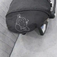 کریر دلیجان|کالسکه و لوازم جانبی|آبیک, |دیوار