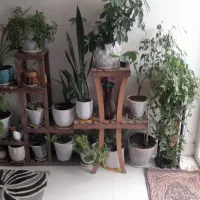 به۰فرش،می،رسد