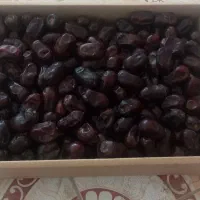 خرما مضافتی درجه یک در منوجان