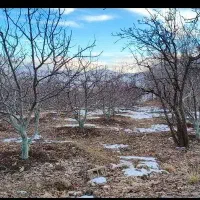 باغ-5000-متری-سپیدان