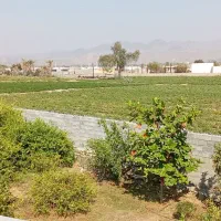 اجاره روزانه سوئیت ( اتاق مسافر)|اجارهٔ کوتاه‌مدت آپارتمان و سوئیت|رودان, |دیوار