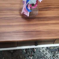 میز جلوی مبل