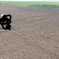 اجاره ۹هکتارونیم زمین مرغوب  بارانی برا کاشت پیاز|اجارهٔ دفتر صنعتی، کشاورزی، تجاری|روانسر, |دیوار