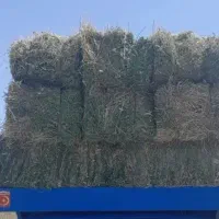 پرس یونجه