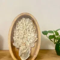 تابلو گل و صدف