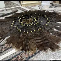 مودشتستون و حومه