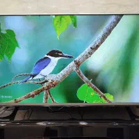 تلویزیون ۴۹ اینچ LG ال ای دی 49LF55000GI|تلویزیون و پروژکتور|ساوه, |دیوار