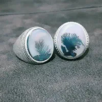 انگشتر شجرهای کلکسیونی و اشیای عتیقه|کلکسیون اشیاء عتیقه|قوچان, |دیوار