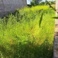 فروش-زمین