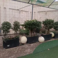 پرسنل تالار